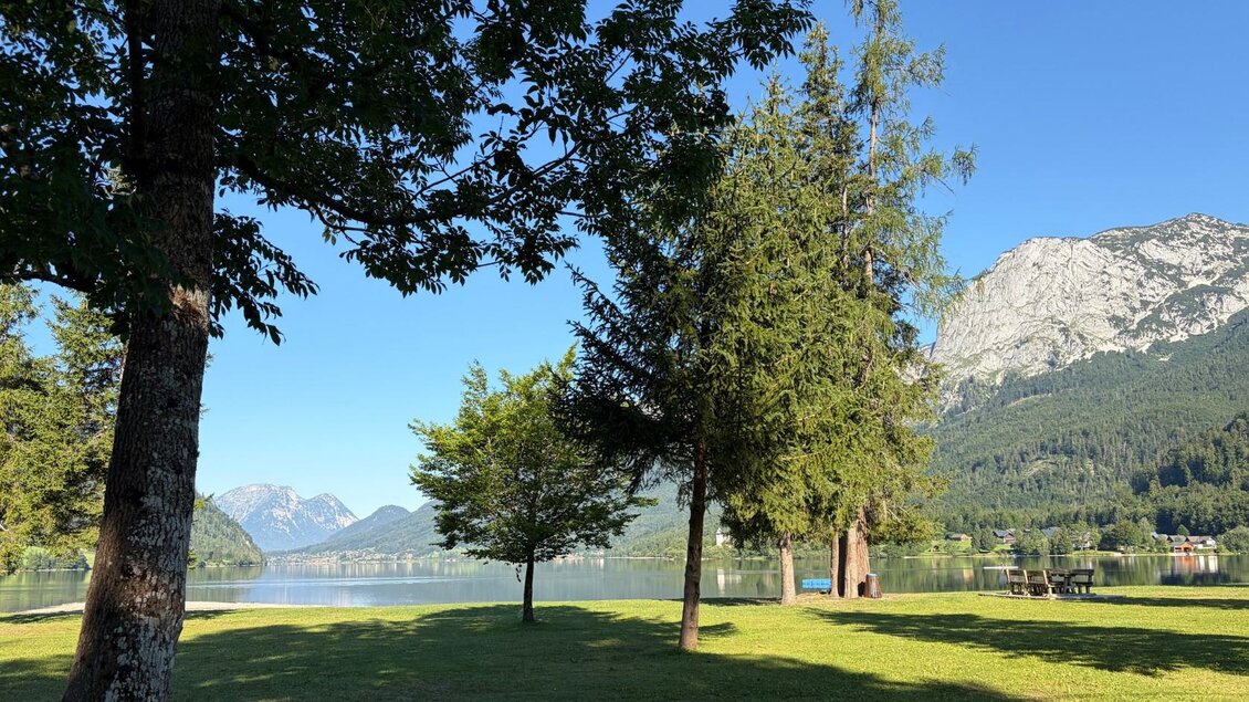 <p>Vom Freizeitzentrum in Gößl ist ein Blick über den gesamten Grundlsee möglich. Es gibt eine Liegewiese mit einigen schattenspendenden Bäumen.</p> | © TVB Ausseerland/Johanna Rastl