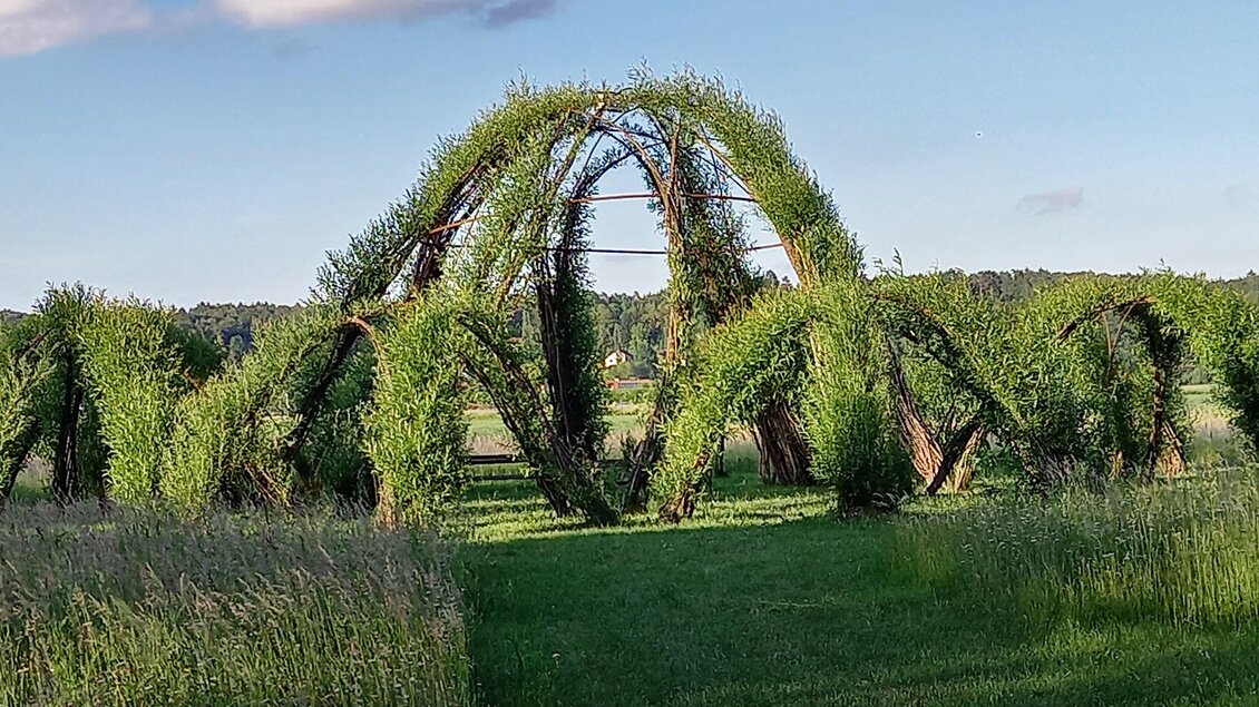 Eine faszinierende skulpturale Struktur aus lebendem Grün steht in einem offenen Feld. Im Hintergrund ist ein klarer Himmel zu sehen. | © Kurkommission Bad Blumau