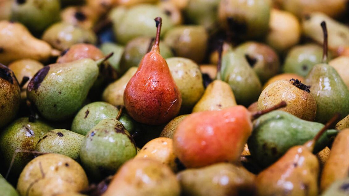 Eine Vielzahl von Birnen in verschiedenen Farben liegt auf einem Boden. Einige Birnen sind grün, während andere rot und gelb sind. | © Manufaktur Gölles