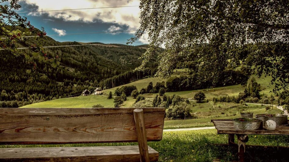 Ausblick | © Gasthof Pöllauerhof