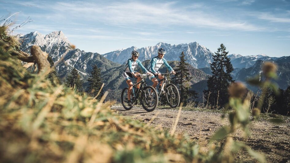 Auch mit dem MTB kommt man auf die Alm | © Stefan Leitner