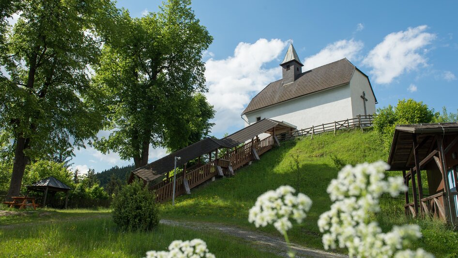 Greifvogelschau - Burg Oberkapfenberg - Impression #2.3