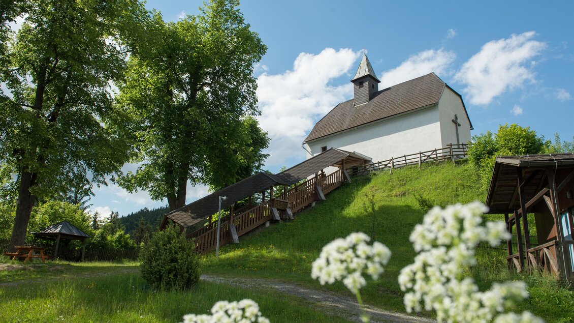 Greifvogelschau - Burg Oberkapfenberg - Impressionen #2.3