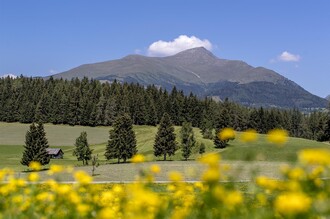 Greim im Frühling | © Tourismusverband Murau