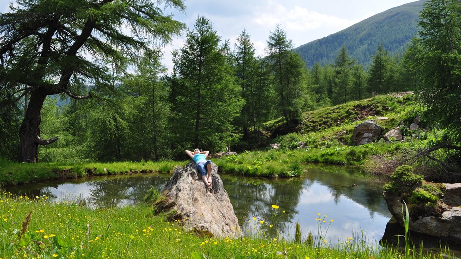 GrillerHütte-Ansicht4-Murtal-Steiermark | © Erlebnisregion Murtal