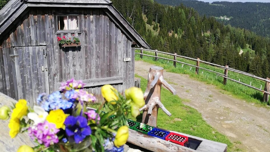 Hütte mit Brunnen | © Großlachtal Hütte