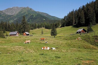 Hölleralm-Sommer-Hohentauern-Murtal-Steiermark | © Herbert Raffalt