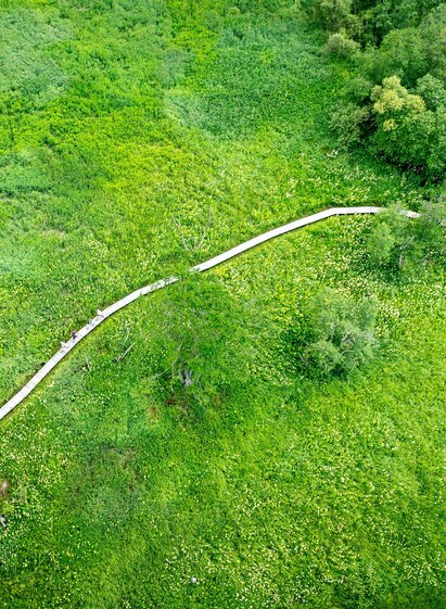 Naturjuwel Hörfeld-Moor | Tom Lamm | © Tourismusverband Murau