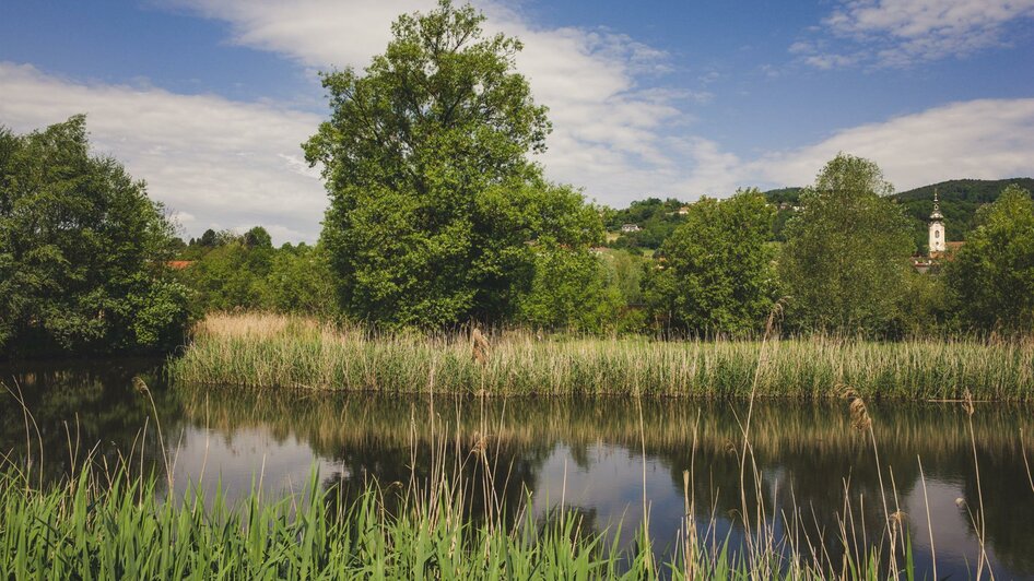 Hartberger Gmoos_Teich_Oststeiermark | © Tourismusverband Oststeiermark