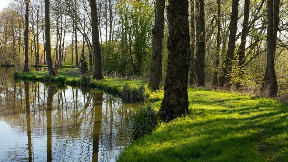 Hartberger Gmoos_Teichweg_Oststeiermark | © Tourismusverband Oststeiermark