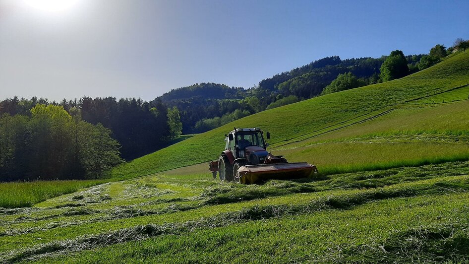 Traktor | © Hofkäserei Kronabeter