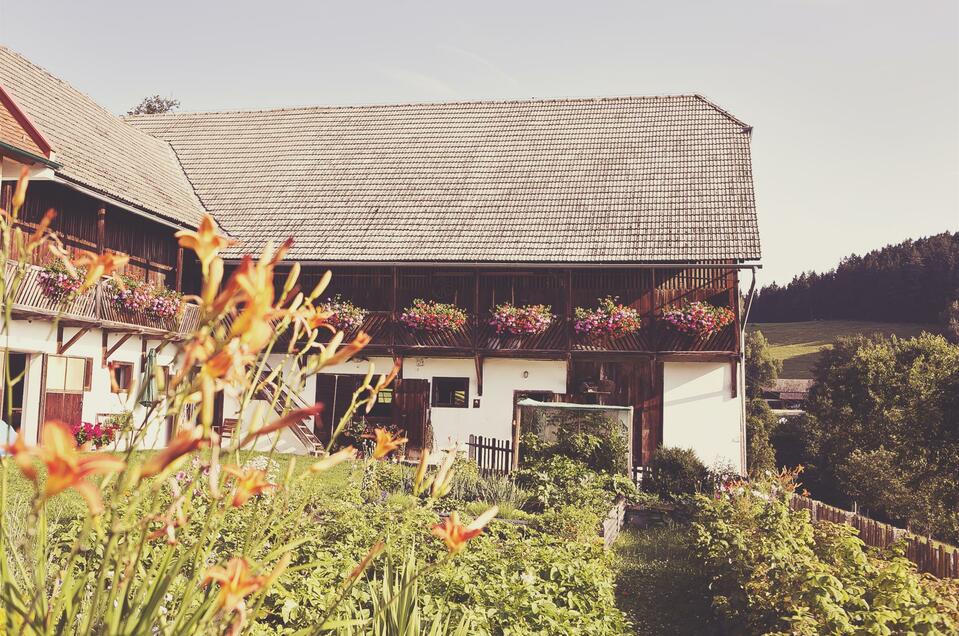 Farm store Leitenbauer sheep farm - Impression #1 | © Leitenbauer Schäferei