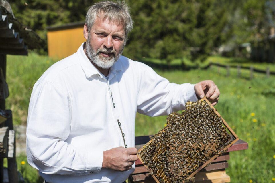 beekeeping Königshofer - Impression #1 | © Imkerei Könighofer