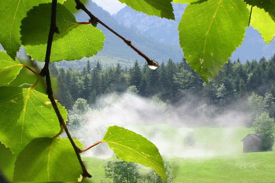 Irgendwasmiteye - Stephan Pelizzari - Impression #1 | © TVB Ausseerland - Salzkammergut_Eva Griese