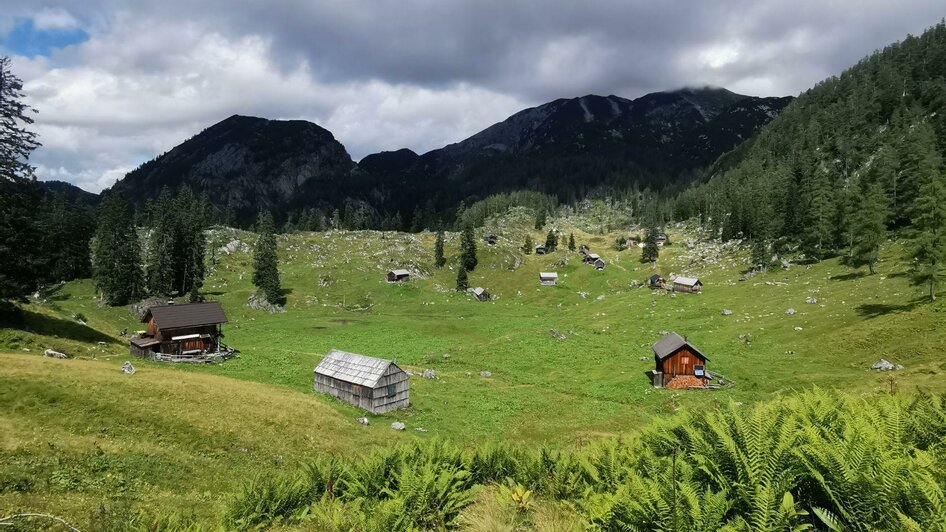 Schwarzenbergalm, Altaussee, Almhütten | © TVB Ausseerland Salzkammergut_Theresa Schwaiger