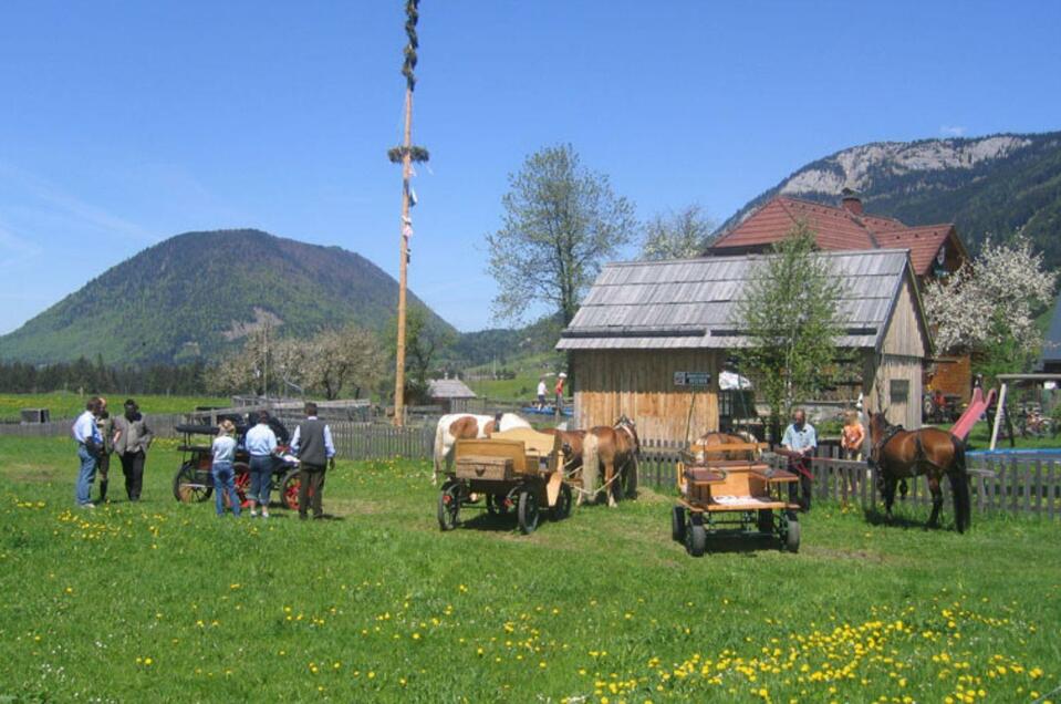 Jausenstation Stieger - Impression #1 | © H. Rastl