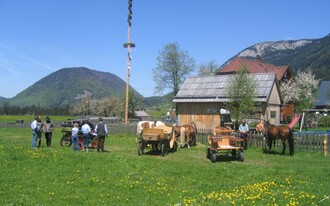 Snack station Stieger | © H. Rastl