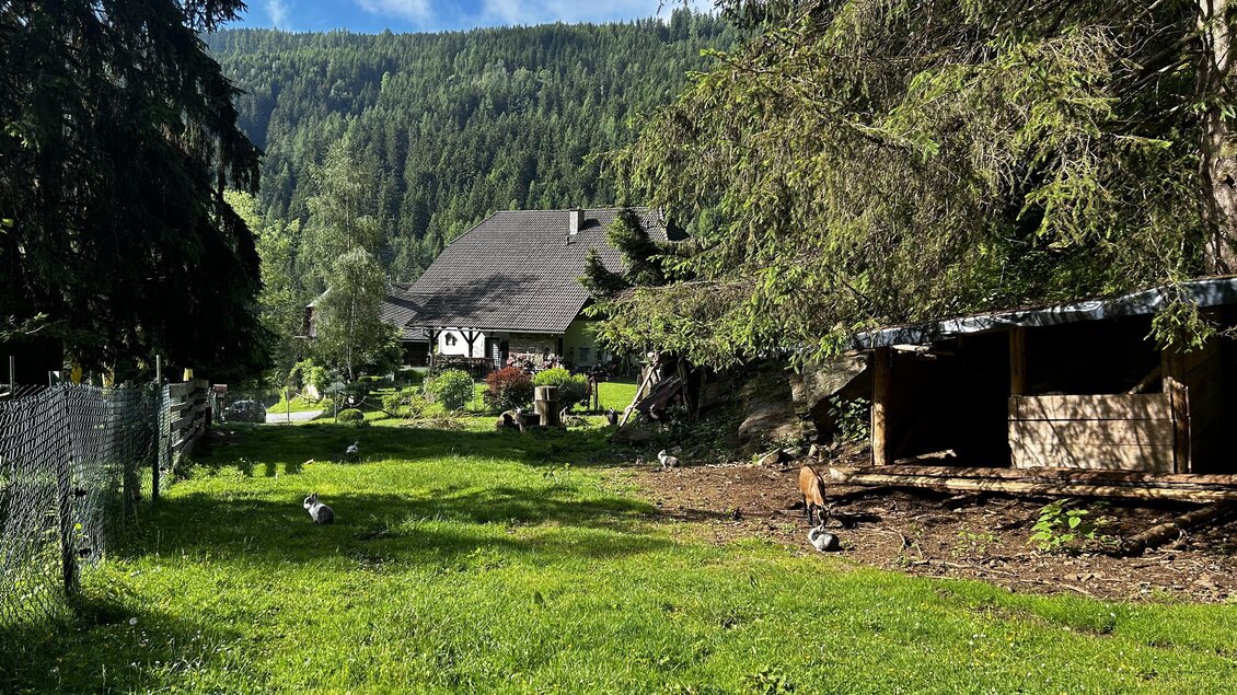 Tiere bei der Jausenstation Wedam | © Tourismusverband Murau