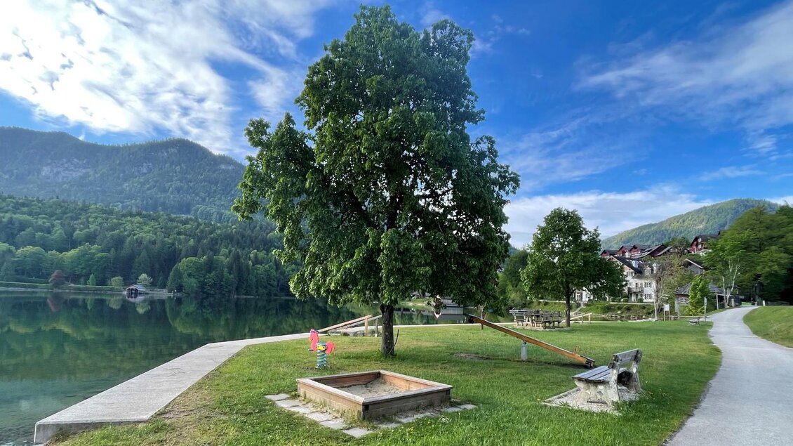 Ein ruhiger See mit grünem Ufer und einem großen Baum. Im Hintergrund sind sanfte Hügel und ein paar Gebäude zu sehen. | © Bettina Scheck