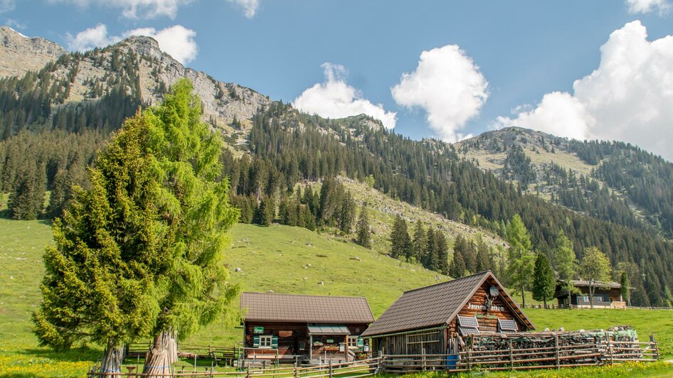 Kink Hütte auf der Hinteregger Alm | © Christian Scheucher