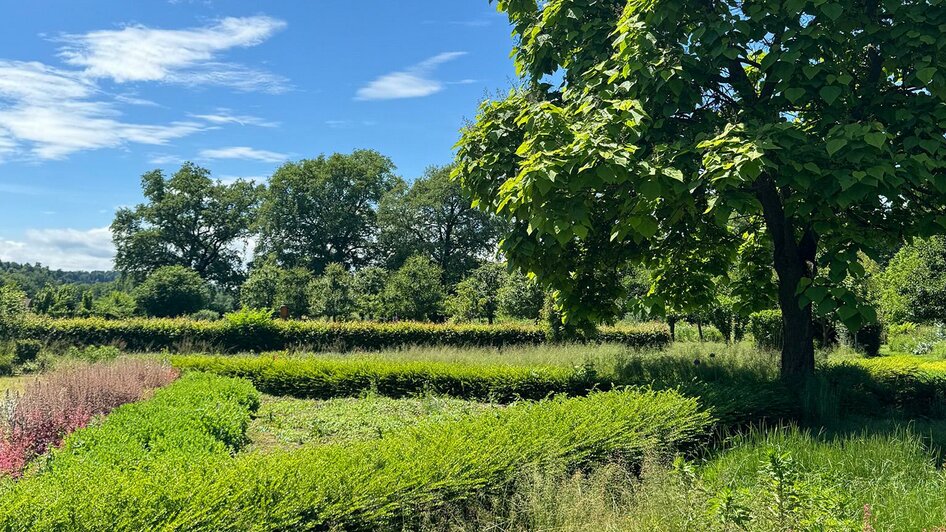 Natur pur | © Jugend am Werk Steiermark