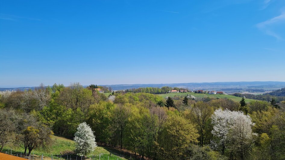 Blick von der Vinothek | © Thermen- & Vulkanland