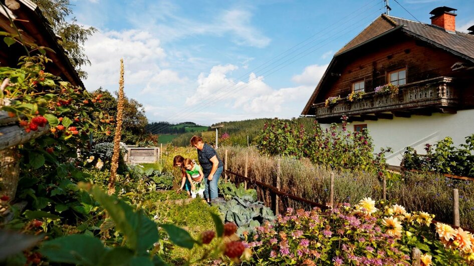 Kräuter Hochegger_Gemüsegarten_Oststeiermark | © Kräutergarten Hochegger