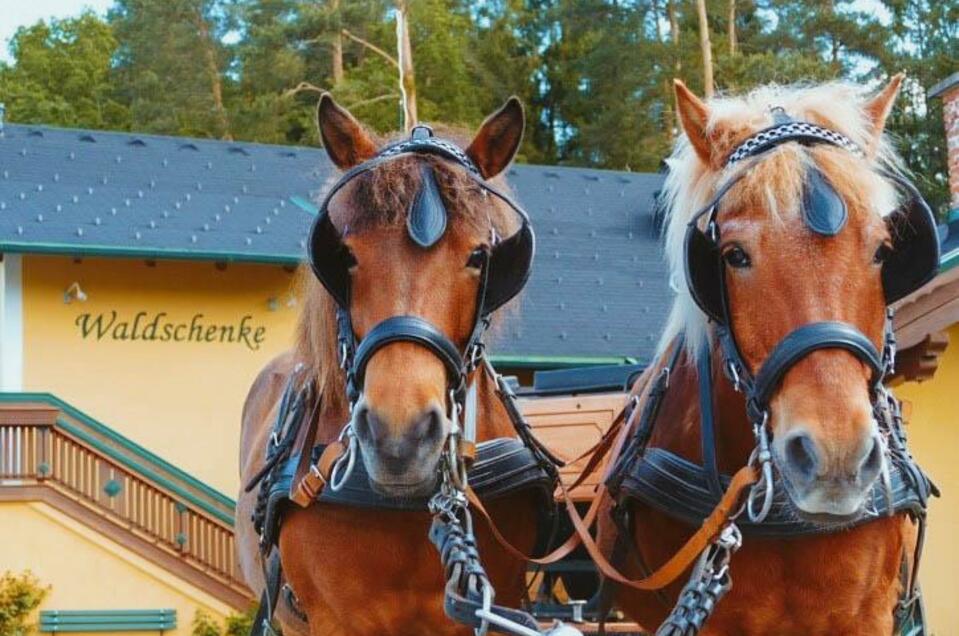 Carriage rides & horseback rides Bad Waltersdorf - Impression #1