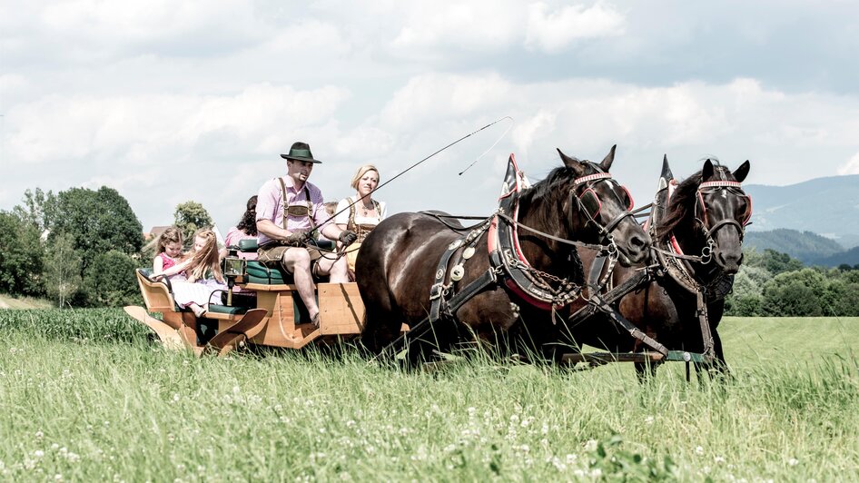 Deutinger-Kutschenfahrt1-Murtal-Steiermark | © Familie Deutinger