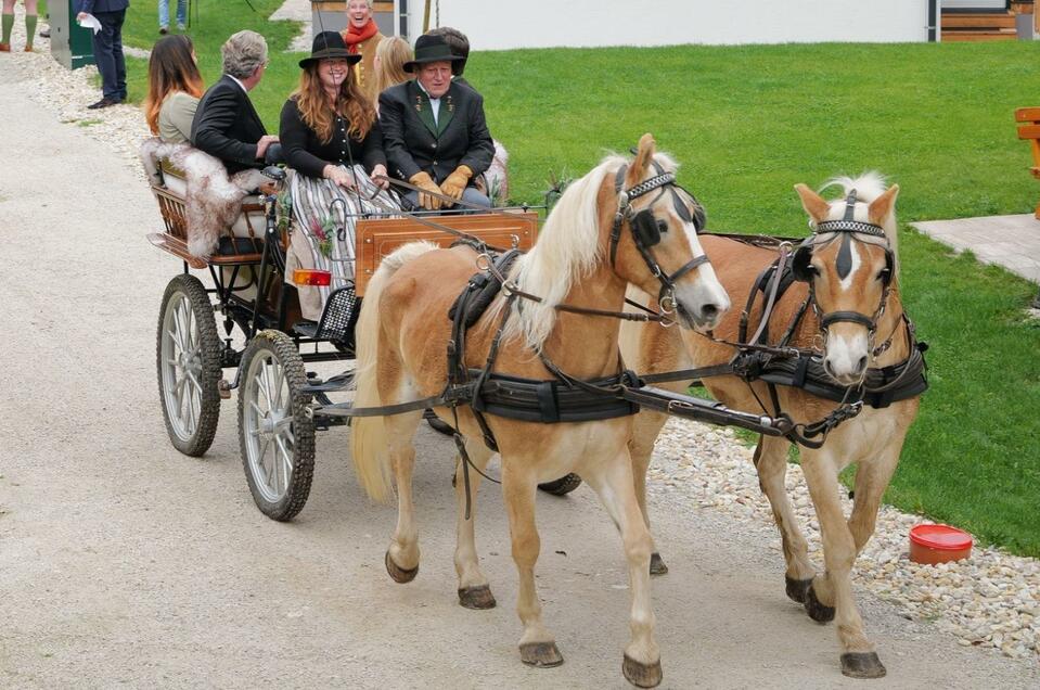 Kutschenfahrten am Grundlsee mit Willi und Flocki - Impression #1 | © Tourismusverband Ausseerland