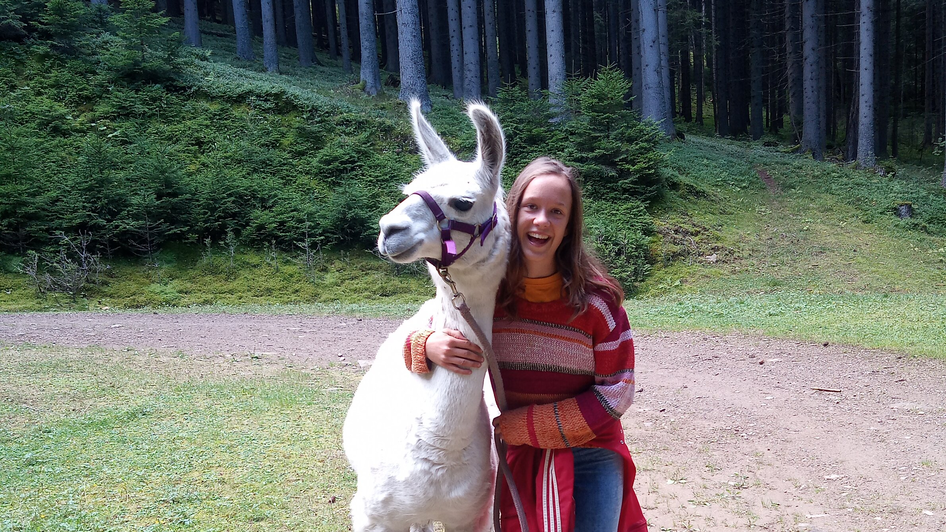 Mädchen mit Lama | © LamaTouren-Gigleitner