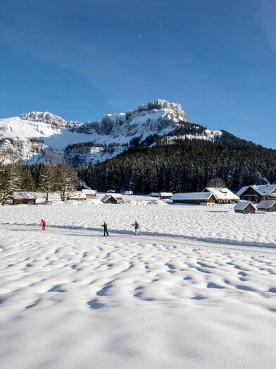 Cross-country ski trails, Altaussee, Blaa Alm | © TVB Ausseerland - Salzkammergut-Tom Lamm | TVB Ausseerland - Salzkammergut-Tom Lamm | © TVB Ausseerland - Salzkammergut-Tom Lamm