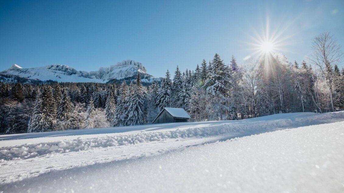 <p>Die winterliche Landschaft von Altaussee mit schneebedeckten Bäumen und dem Loser im Hintergrund. Die Sonne scheint klar am blauen Himmel und der Schnee glitzert.</p> | © TVB Ausseerland Salzkammergut_Katrin Kerschbaumer