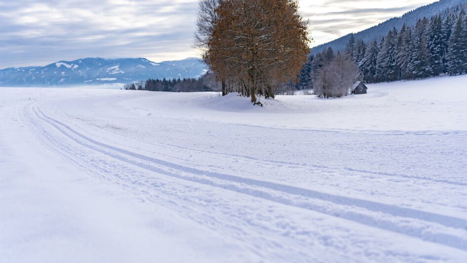 Langlaufen-Loipe-Seckau-Murtal-Steiermark | © Anita Fössl