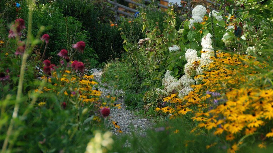 Alpenkräutergarten_Pöllau_Oststeiermark | © Stefan Käfer