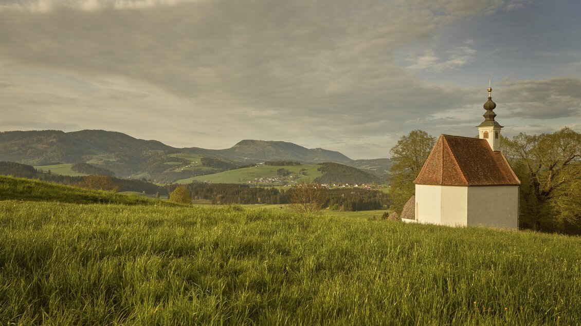 Eine Bank mit Blick auf grüne Wiesen und Berge. Unter blauem Himmel ist eine malerische Landschaft mit einem kleinen Dorf zu sehen. | © Tourismusverband Oststeiermark