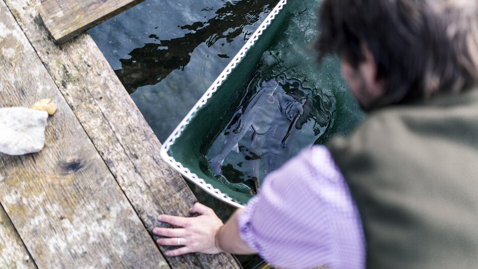Michi`s frische Fische - Impression #2.3