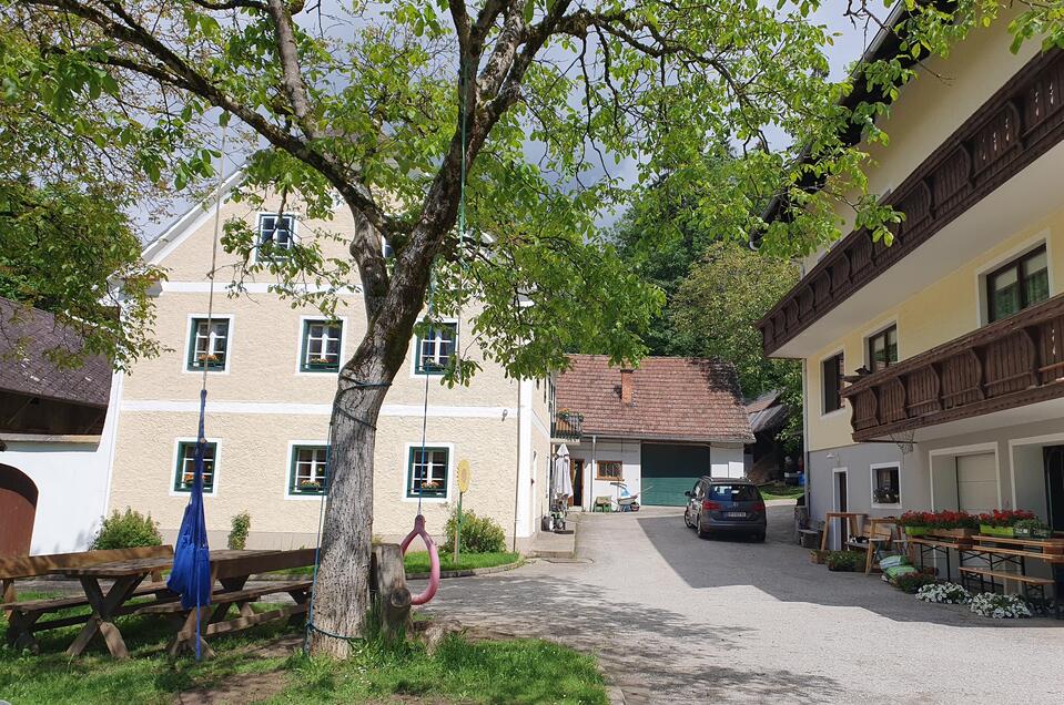 Cider tavern Zinggl vgl. Bäck - Impression #1 | © Oststeiermark Tourismus