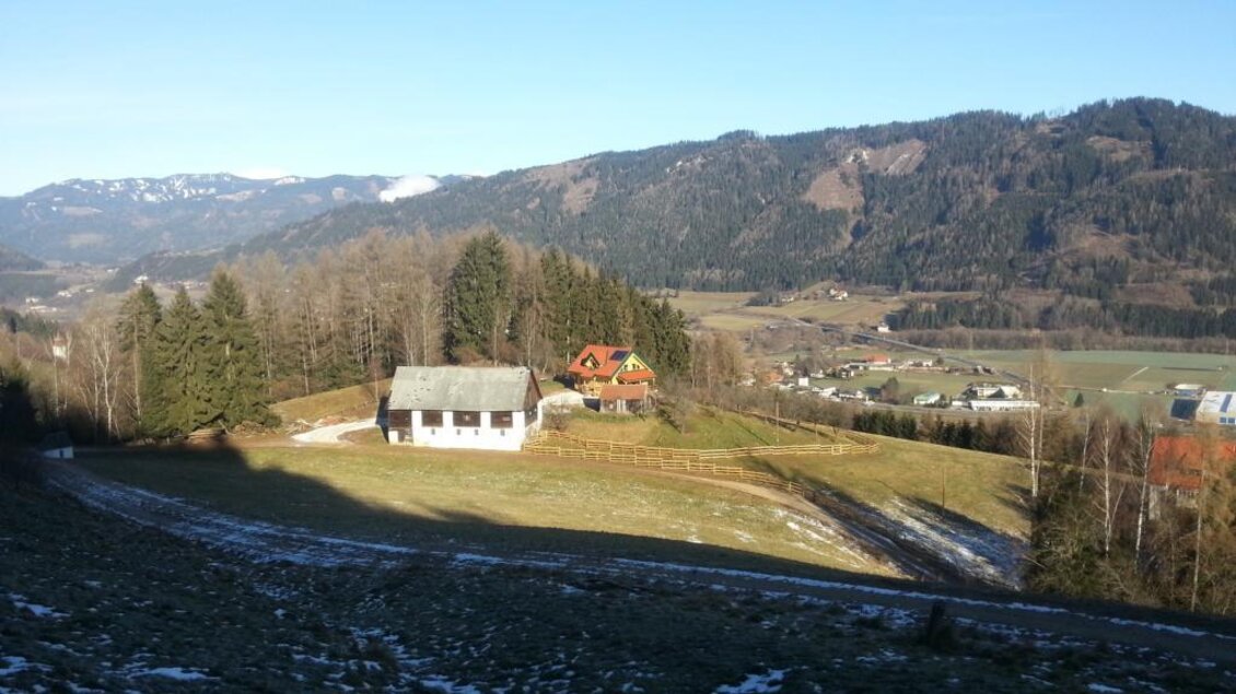 Eine landschaftliche Aussicht mit sanften Hügeln und Bergen im Hintergrund. Im Vordergrund sind einige typische Landhäuser zu sehen. | © Murtal Alpaka