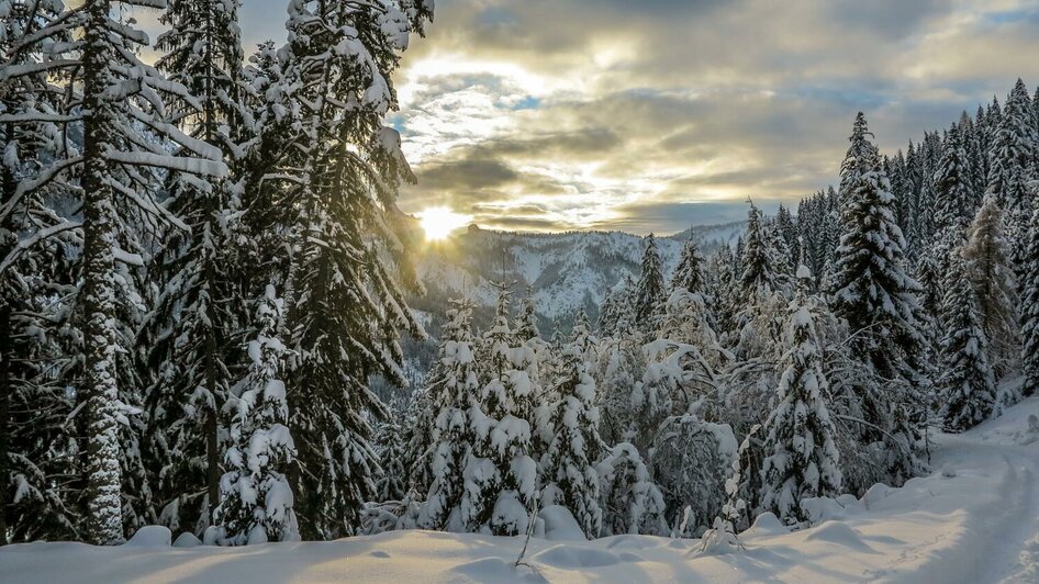 Sonnenuntergang im Winter | © Christian Scheucher