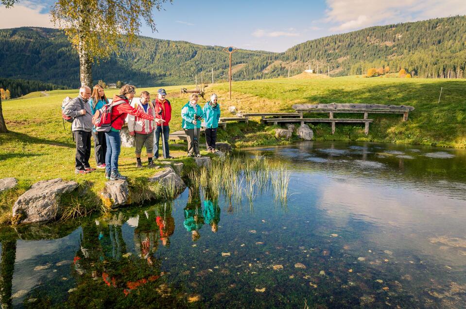 Nature reading hike through the Zirbitzkogel-Grebenzen Nature Park - Impression #1 | © Tourismusverband Murau