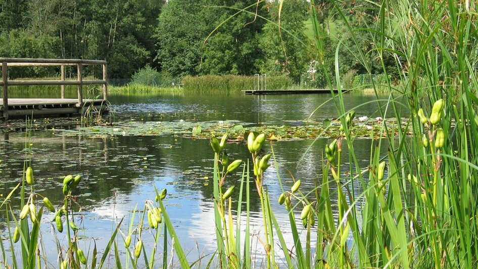 Naturbadeteich Gruber_Teich mit Steg_Oststeiermark | © Naturbadeteich Gruber