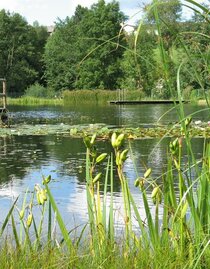 Natural swimming pond Gruber_Pond with jetty_Eastern Styria | © Naturbadeteich Gruber | Hermann Auerbäck | © Naturbadeteich Gruber