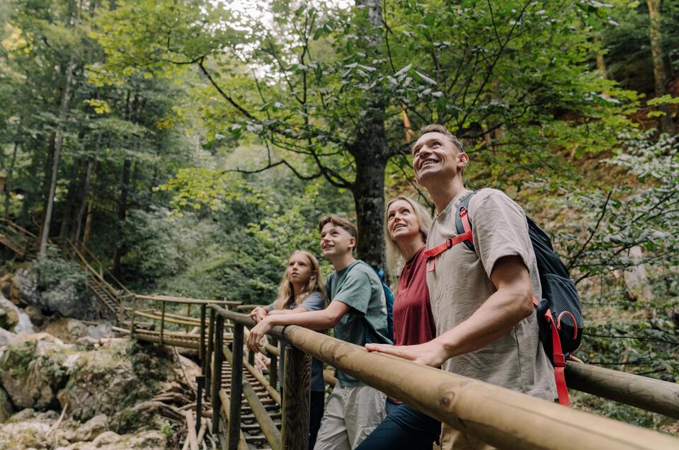 Naturjuwel Bärenschützklamm - Impression #1