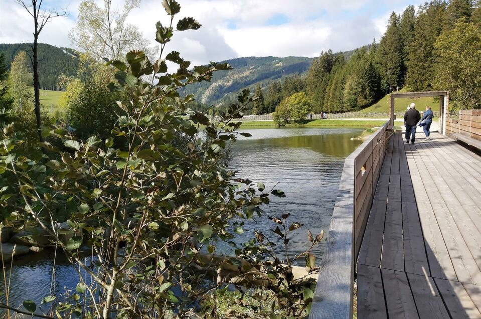 Moor Hiking Path Teichalm - Impression #1 | © Tourismusverband Oststeiermark