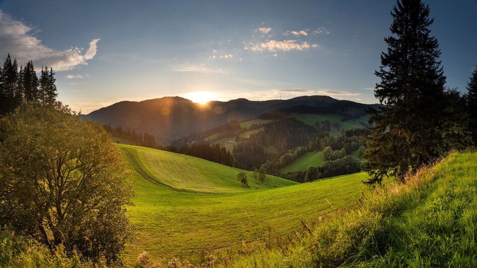 Almenland_Sommeralm_Oststeiermark | © Naturpark Almenland