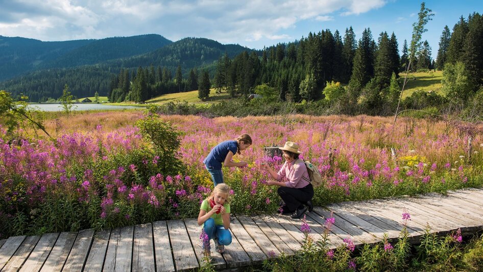 Almenland_Moorlehrpfad_Oststeiermark | © Naturpark Almenland