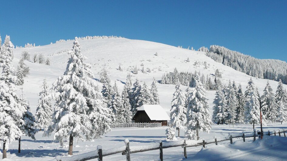 Teichalm Winter_Oststeiermark_Foto Pollhammer | © Tourismusverband Oststeiermark