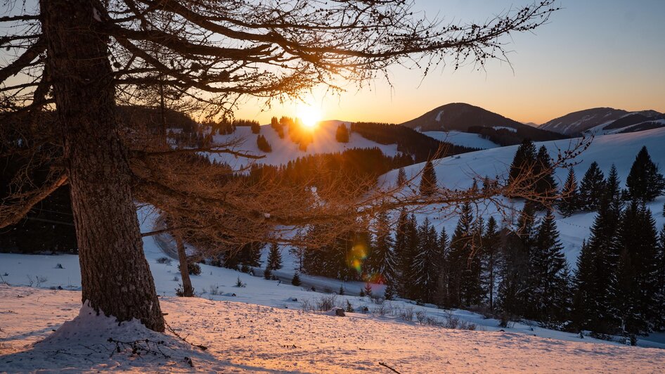 Almenland_Winterlandschaft_Oststeiermark | © Oststeiermark Tourismus