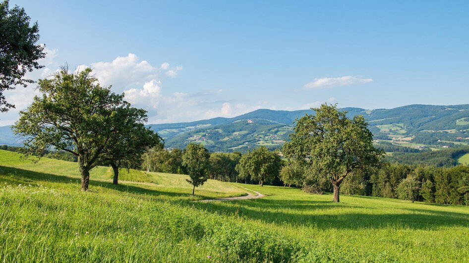 NuP Pöllauer Tal_Kulturlandschaft_Oststeiermark | © NuP Pöllauer Tal